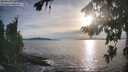./images/koeye/fitz-hugh/20260824/fitz-hugh20260824_184501M.jpg