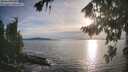 ./images/koeye/fitz-hugh/20260824/fitz-hugh20260824_185501M.jpg