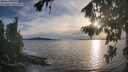 ./images/koeye/fitz-hugh/20260824/fitz-hugh20260824_191001M.jpg