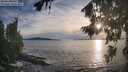 ./images/koeye/fitz-hugh/20260824/fitz-hugh20260824_192001M.jpg