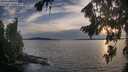 ./images/koeye/fitz-hugh/20260824/fitz-hugh20260824_195001M.jpg