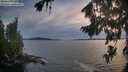 ./images/koeye/fitz-hugh/20260824/fitz-hugh20260824_202502M.jpg