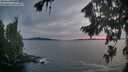 ./images/koeye/fitz-hugh/20260824/fitz-hugh20260824_204001M.jpg
