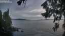 ./images/koeye/fitz-hugh/20260824/fitz-hugh20260824_205001M.jpg