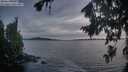 ./images/koeye/fitz-hugh/20260824/fitz-hugh20260824_205501M.jpg