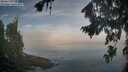 ./images/koeye/fitz-hugh/20260825/fitz-hugh20260825_082501M.jpg