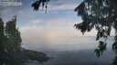./images/koeye/fitz-hugh/20260825/fitz-hugh20260825_083501M.jpg