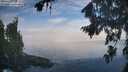./images/koeye/fitz-hugh/20260825/fitz-hugh20260825_084501M.jpg
