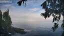 ./images/koeye/fitz-hugh/20260825/fitz-hugh20260825_085001M.jpg
