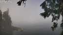 ./images/koeye/fitz-hugh/20260825/fitz-hugh20260825_110501M.jpg