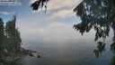 ./images/koeye/fitz-hugh/20260825/fitz-hugh20260825_114501M.jpg