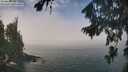 ./images/koeye/fitz-hugh/20260825/fitz-hugh20260825_120002M.jpg