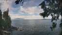 ./images/koeye/fitz-hugh/20260825/fitz-hugh20260825_121501M.jpg