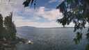 ./images/koeye/fitz-hugh/20260825/fitz-hugh20260825_122002M.jpg
