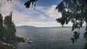 ./images/koeye/fitz-hugh/20260825/fitz-hugh20260825_122501M.jpg