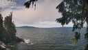 ./images/koeye/fitz-hugh/20260825/fitz-hugh20260825_124501M.jpg