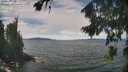 ./images/koeye/fitz-hugh/20260825/fitz-hugh20260825_125501M.jpg
