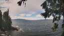 ./images/koeye/fitz-hugh/20260825/fitz-hugh20260825_130501M.jpg