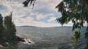 ./images/koeye/fitz-hugh/20260825/fitz-hugh20260825_132501M.jpg