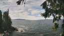 ./images/koeye/fitz-hugh/20260825/fitz-hugh20260825_133001M.jpg