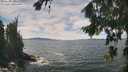 ./images/koeye/fitz-hugh/20260825/fitz-hugh20260825_133501M.jpg