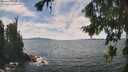 ./images/koeye/fitz-hugh/20260825/fitz-hugh20260825_135002M.jpg