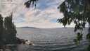 ./images/koeye/fitz-hugh/20260825/fitz-hugh20260825_140501M.jpg