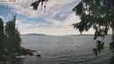 ./images/koeye/fitz-hugh/20260825/fitz-hugh20260825_142002M.jpg