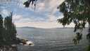 ./images/koeye/fitz-hugh/20260825/fitz-hugh20260825_142501M.jpg