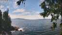 ./images/koeye/fitz-hugh/20260825/fitz-hugh20260825_143501M.jpg