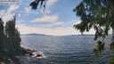 ./images/koeye/fitz-hugh/20260825/fitz-hugh20260825_144001M.jpg