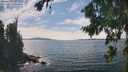 ./images/koeye/fitz-hugh/20260825/fitz-hugh20260825_145001M.jpg