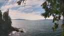 ./images/koeye/fitz-hugh/20260825/fitz-hugh20260825_150501M.jpg