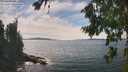 ./images/koeye/fitz-hugh/20260825/fitz-hugh20260825_151501M.jpg