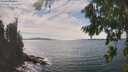 ./images/koeye/fitz-hugh/20260825/fitz-hugh20260825_152001M.jpg