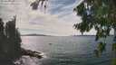 ./images/koeye/fitz-hugh/20260825/fitz-hugh20260825_152501M.jpg