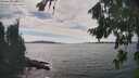 ./images/koeye/fitz-hugh/20260825/fitz-hugh20260825_154001M.jpg