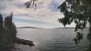 ./images/koeye/fitz-hugh/20260825/fitz-hugh20260825_155001M.jpg