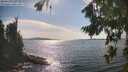 ./images/koeye/fitz-hugh/20260825/fitz-hugh20260825_162502M.jpg