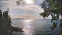 ./images/koeye/fitz-hugh/20260825/fitz-hugh20260825_164501M.jpg