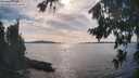 ./images/koeye/fitz-hugh/20260825/fitz-hugh20260825_165501M.jpg