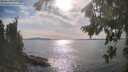 ./images/koeye/fitz-hugh/20260825/fitz-hugh20260825_170501M.jpg