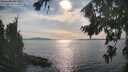 ./images/koeye/fitz-hugh/20260825/fitz-hugh20260825_171501M.jpg