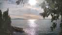 ./images/koeye/fitz-hugh/20260825/fitz-hugh20260825_172001M.jpg