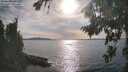 ./images/koeye/fitz-hugh/20260825/fitz-hugh20260825_173002M.jpg