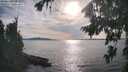 ./images/koeye/fitz-hugh/20260825/fitz-hugh20260825_174001M.jpg