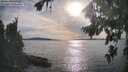 ./images/koeye/fitz-hugh/20260825/fitz-hugh20260825_175001M.jpg