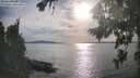 ./images/koeye/fitz-hugh/20260825/fitz-hugh20260825_175501M.jpg