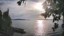 ./images/koeye/fitz-hugh/20260825/fitz-hugh20260825_181001M.jpg