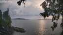 ./images/koeye/fitz-hugh/20260825/fitz-hugh20260825_183001M.jpg